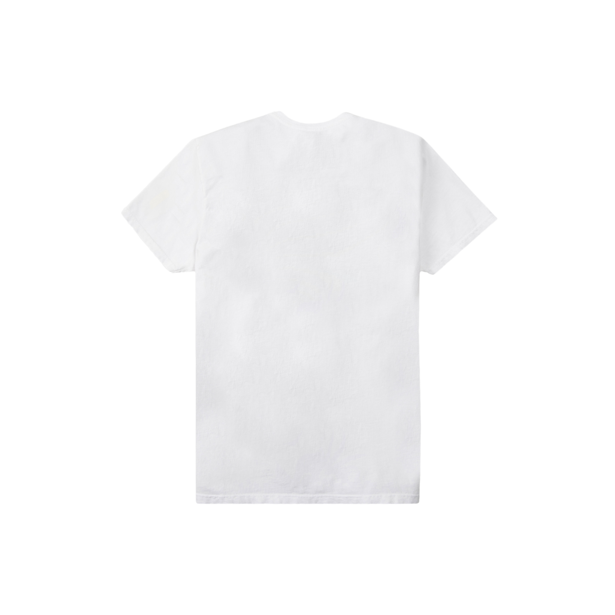 Paper Planes One Day At A Time Tee (White) - Paper Plane