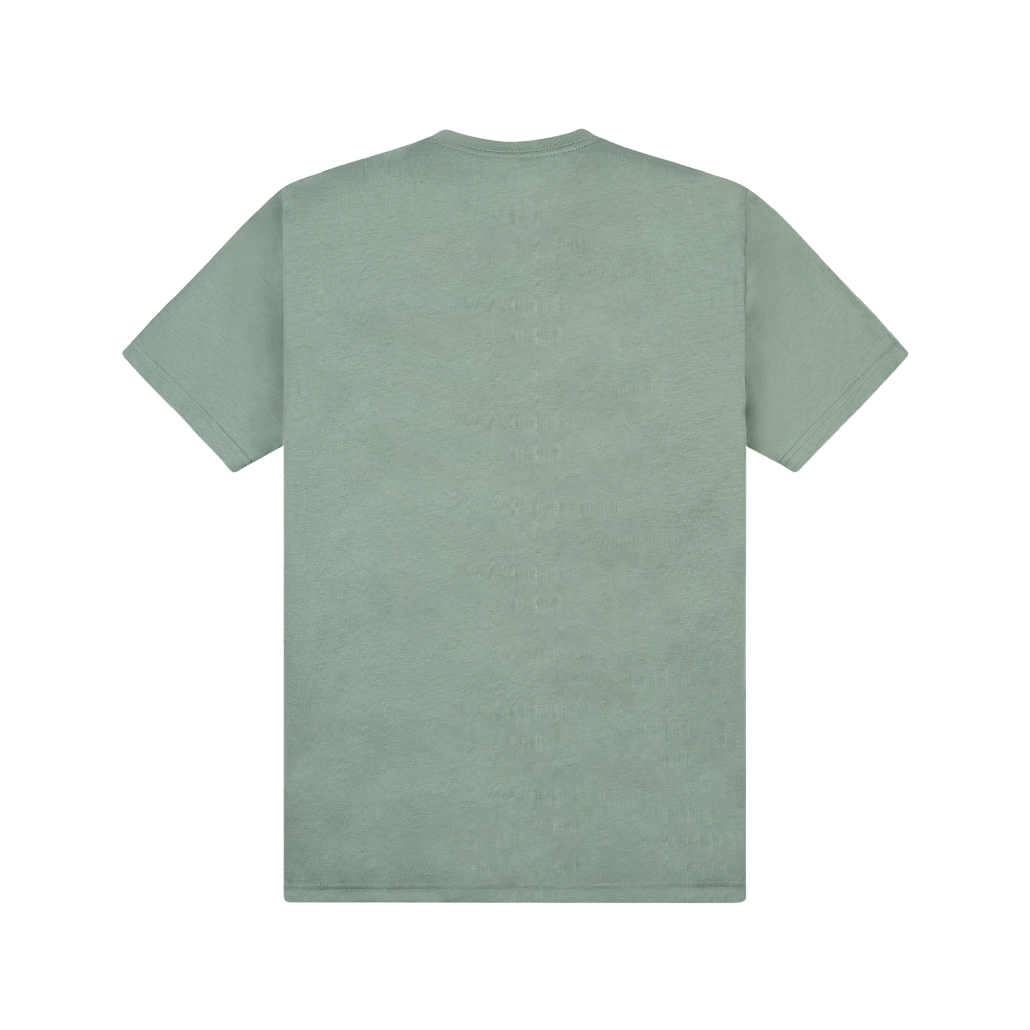 Paper Planes Colorful Reflection Tee (Iceberg Green)