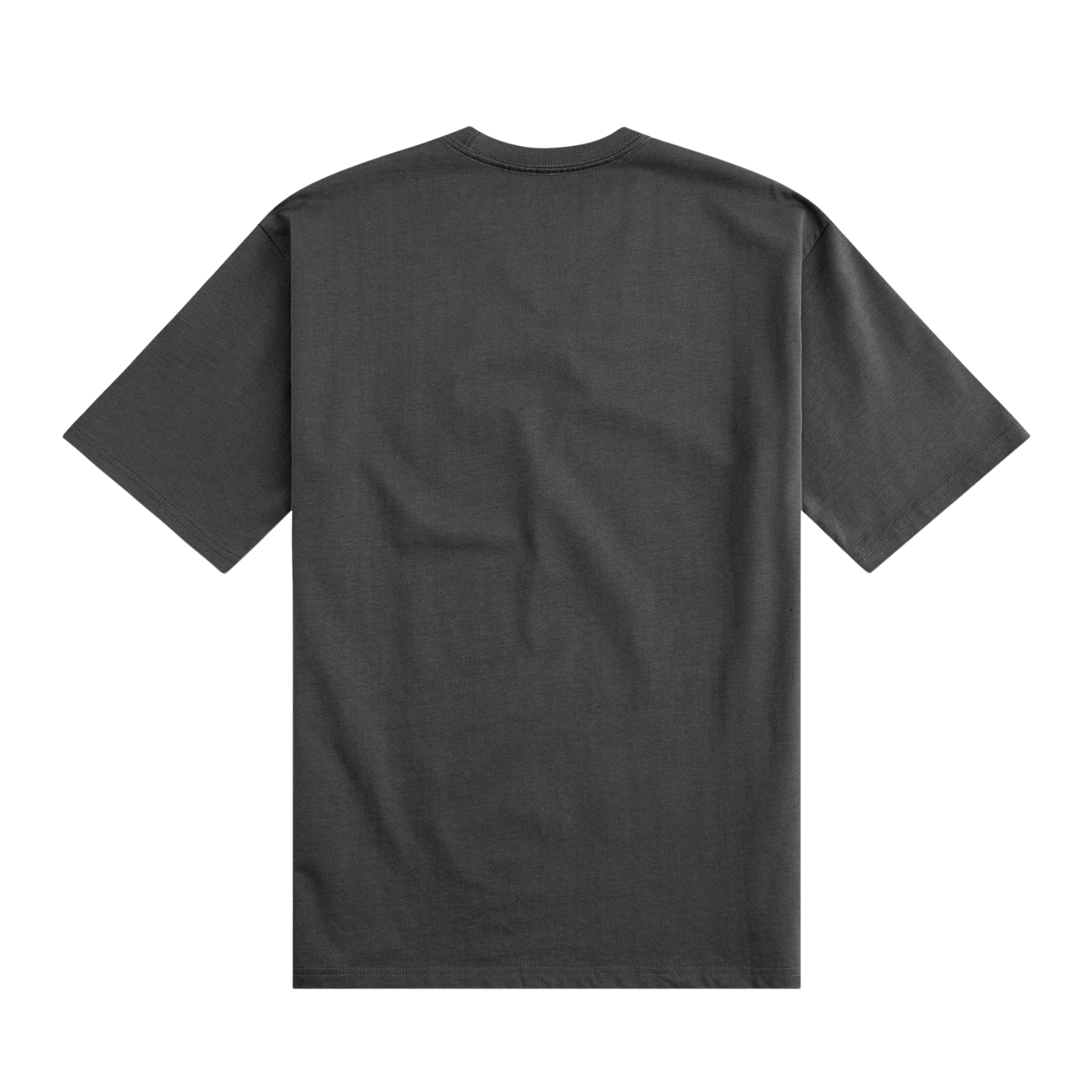 Paper Planes "SKY IS NOT THE LIMIT " Tee (Washed Black)