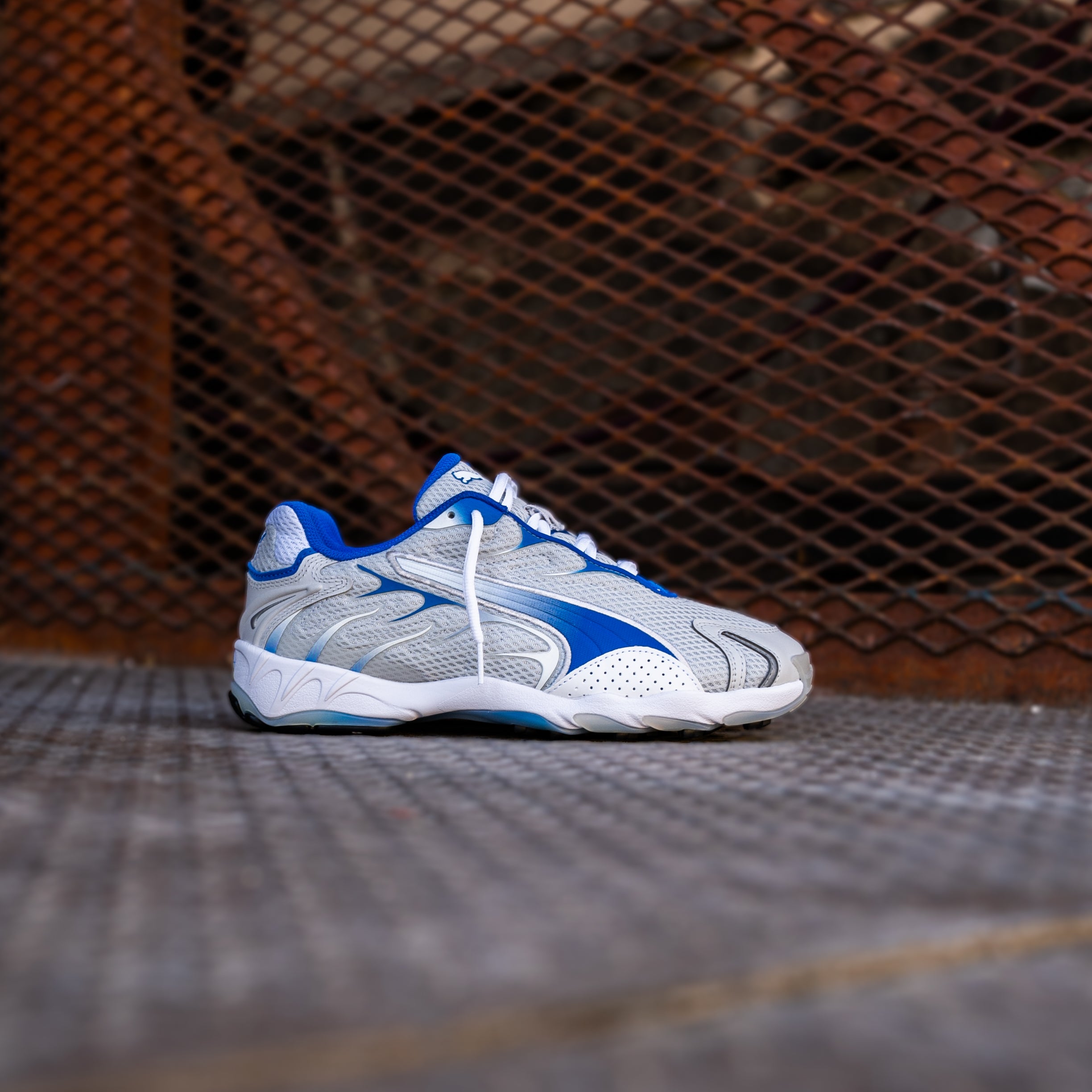 Mens Puma Inhale (Feather Grey/Team Roya) - Puma