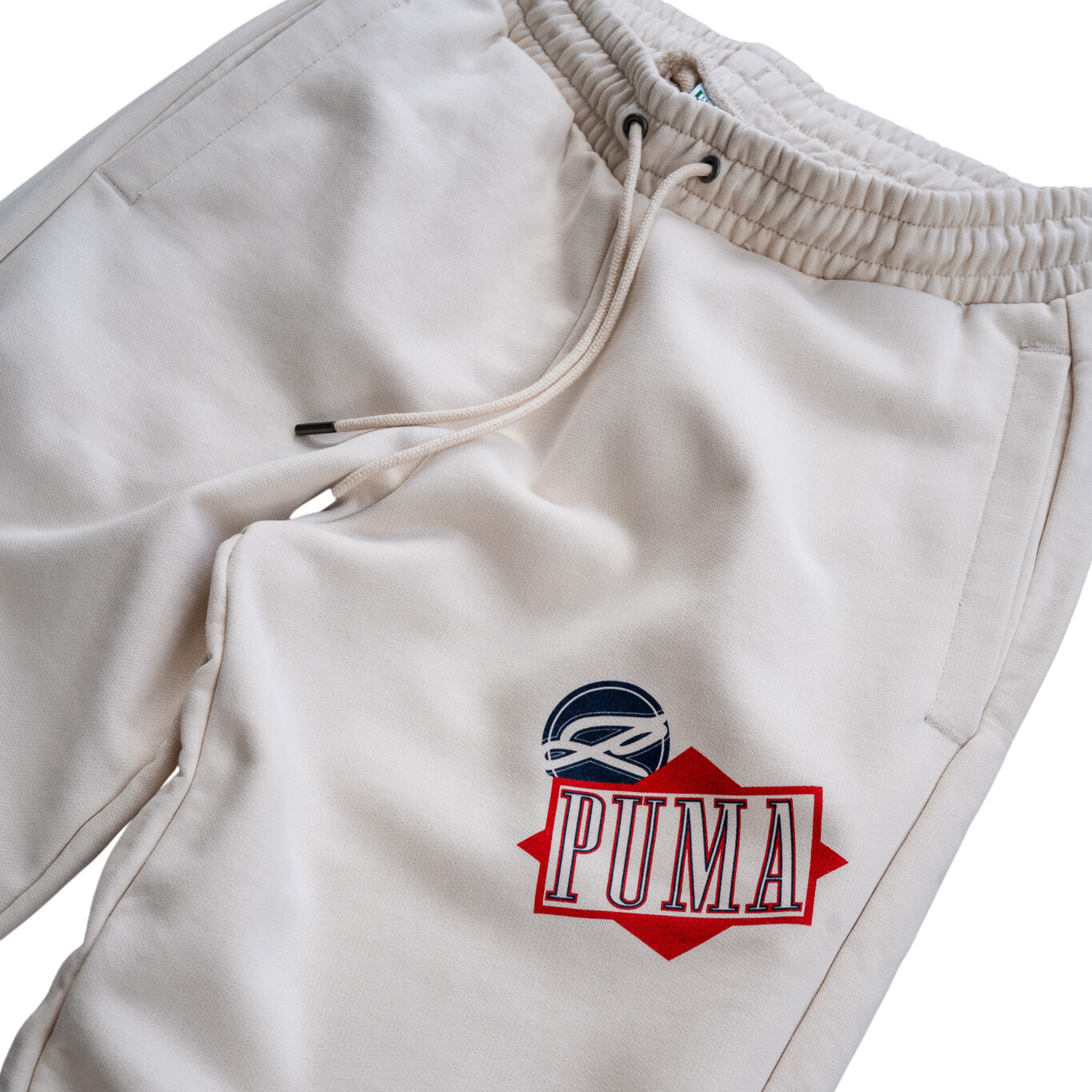 Puma Classics Graphic Sweatpants (Alpine Snow) - Puma