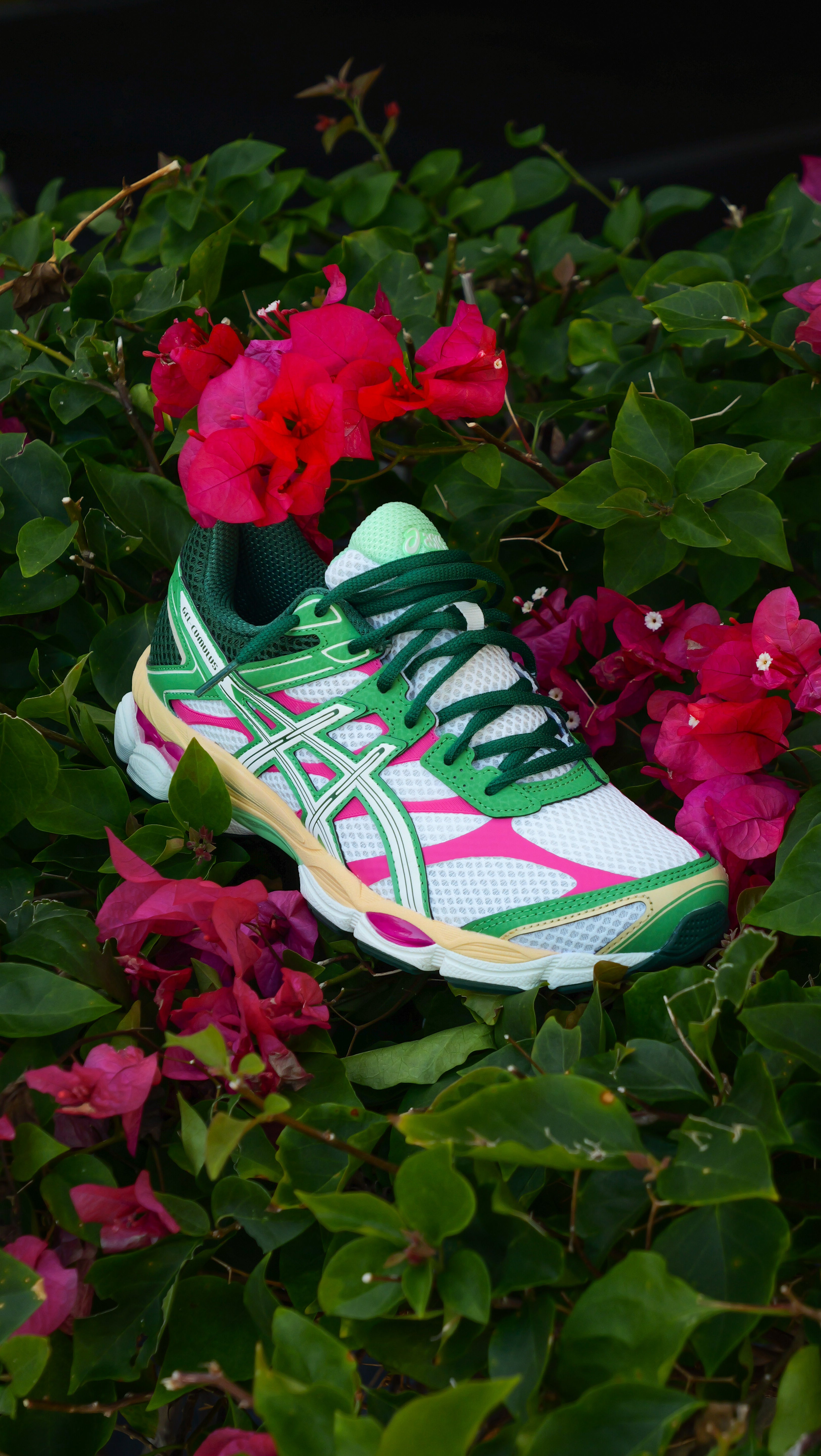 Mens Asics Gel-Cumulus 16 (Cream/Ivory) - Asics
