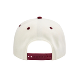 Paper Planes THE OLD E A-FRAME SNAPBACK - Paper Plane