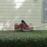 SAUCONY X JAE TIPS Progrid Triumph 4 Virginia Creeper (Peach/Leaf) - VIP Saucony