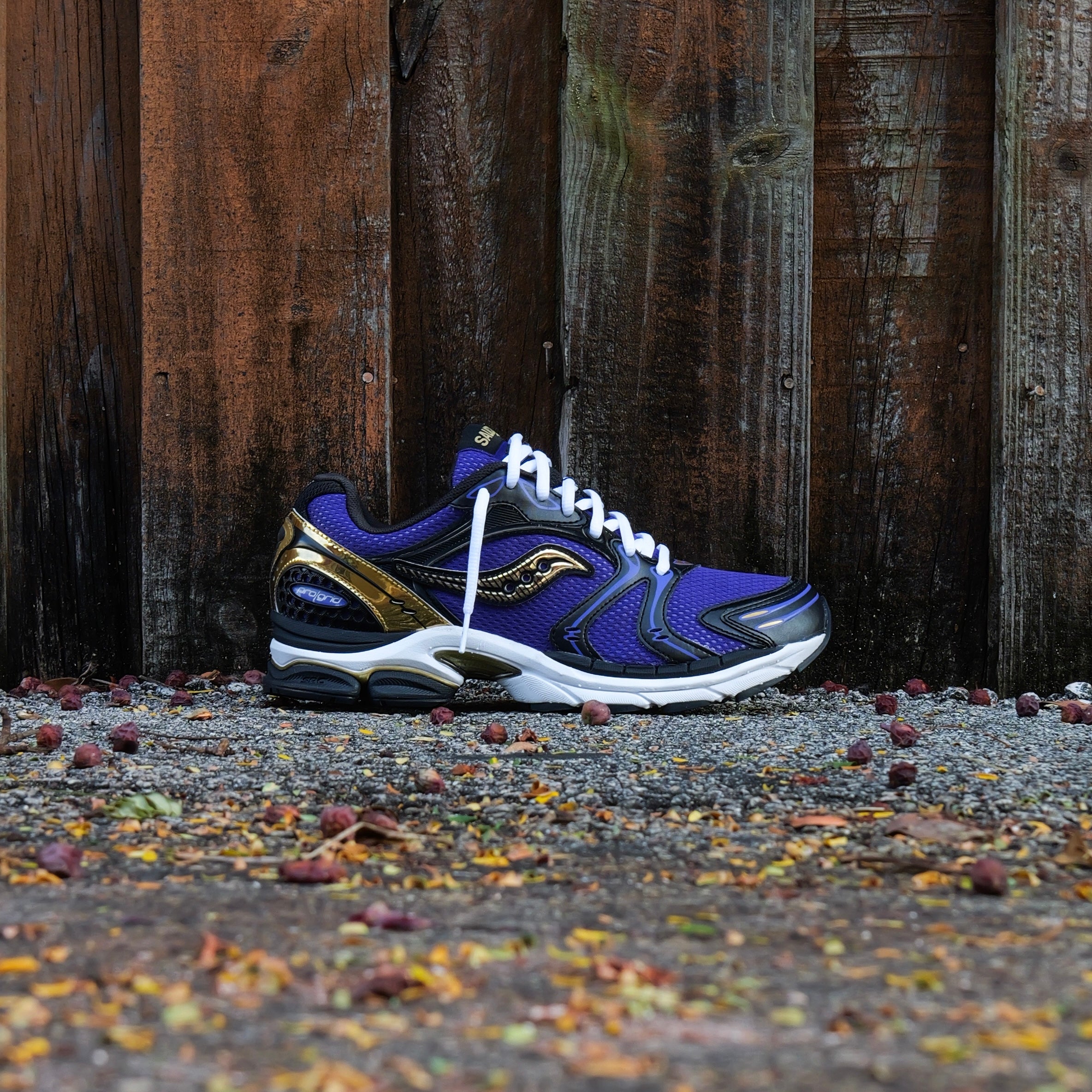 Mens Saucony ProGrid Triumph 4  (Purple/Gold) - Saucony