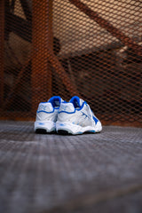 Mens Puma Inhale (Feather Grey/Team Roya) - Puma