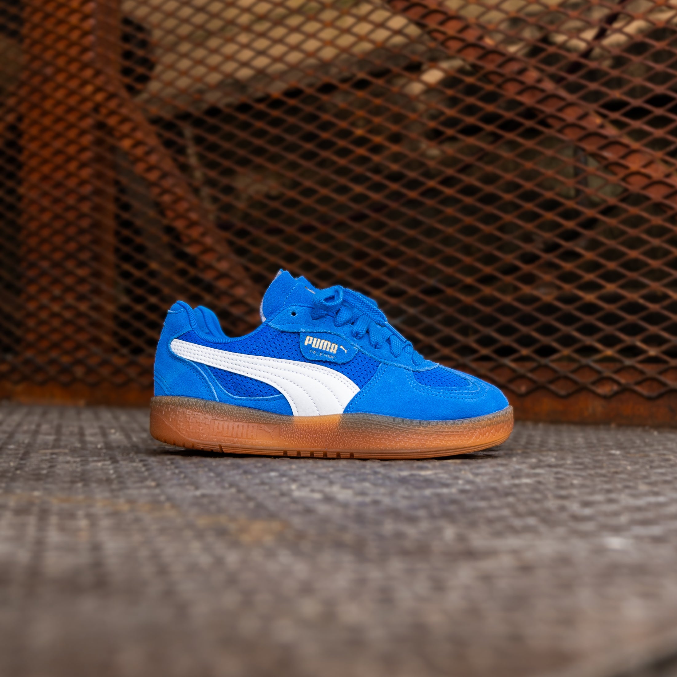 Women's Puma Palermo Moda Vintage (Hyperlink Blue/Gum) - Puma