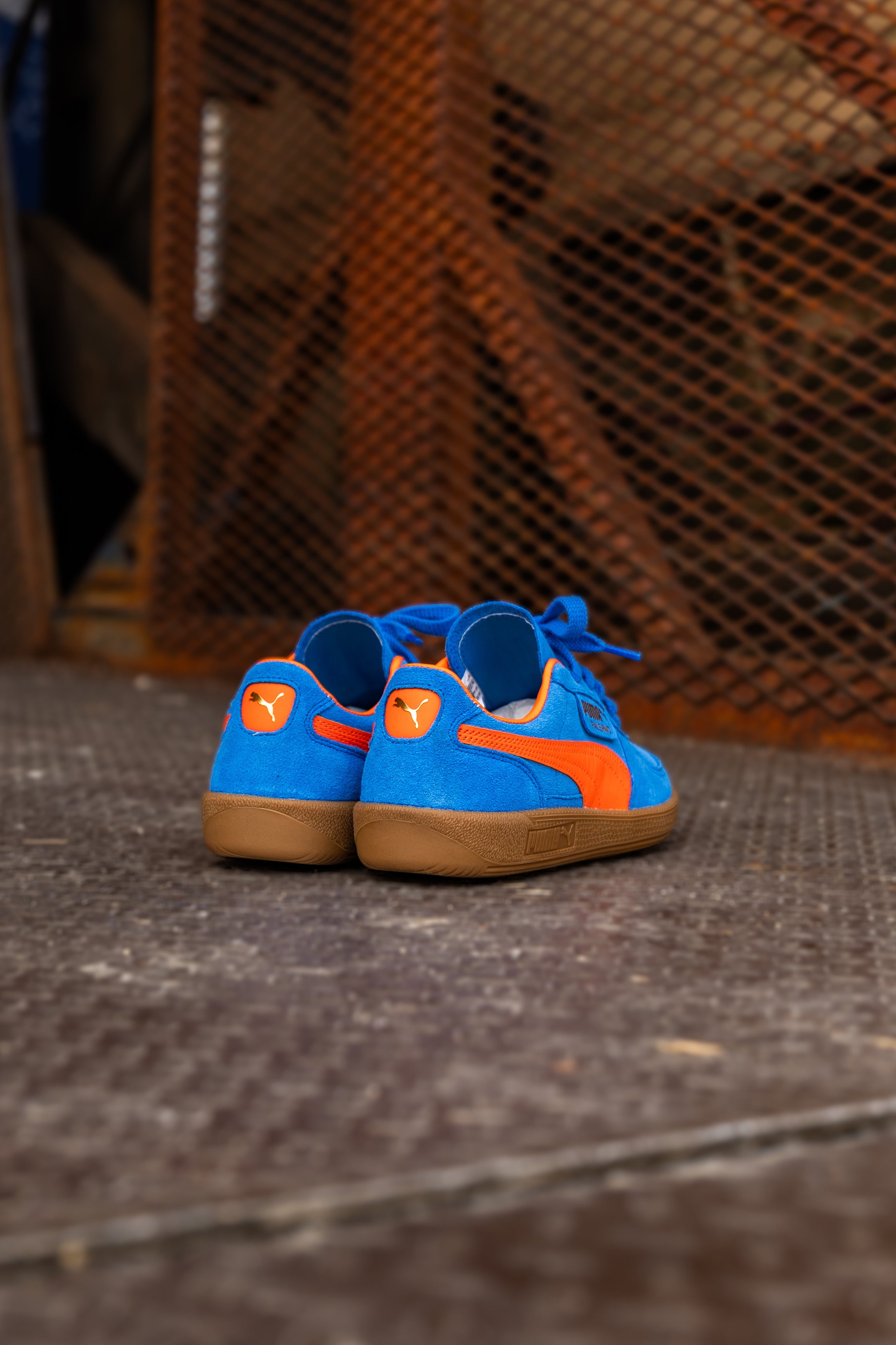 Mens Puma Palermo (Hyperlink Blue/Flame Flicker/Gum)