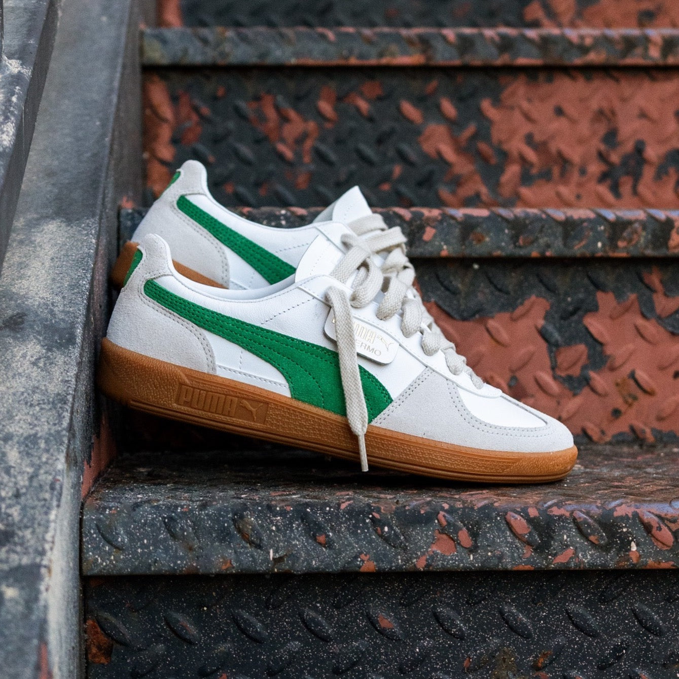 Mens Puma Palermo LTH (Pine Green) - Puma