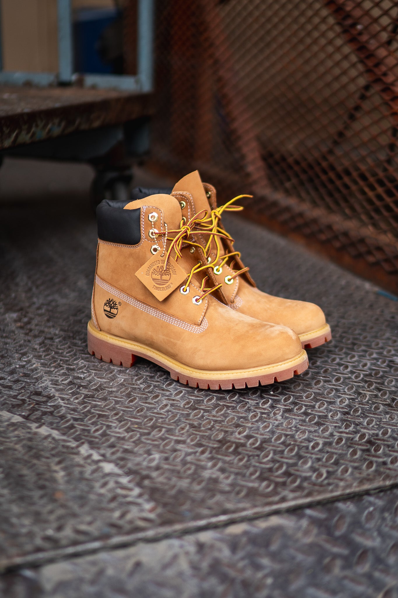 Timberland Premium 6 Inch Waterproof Boot (Wheat) 10061 - Timberland
