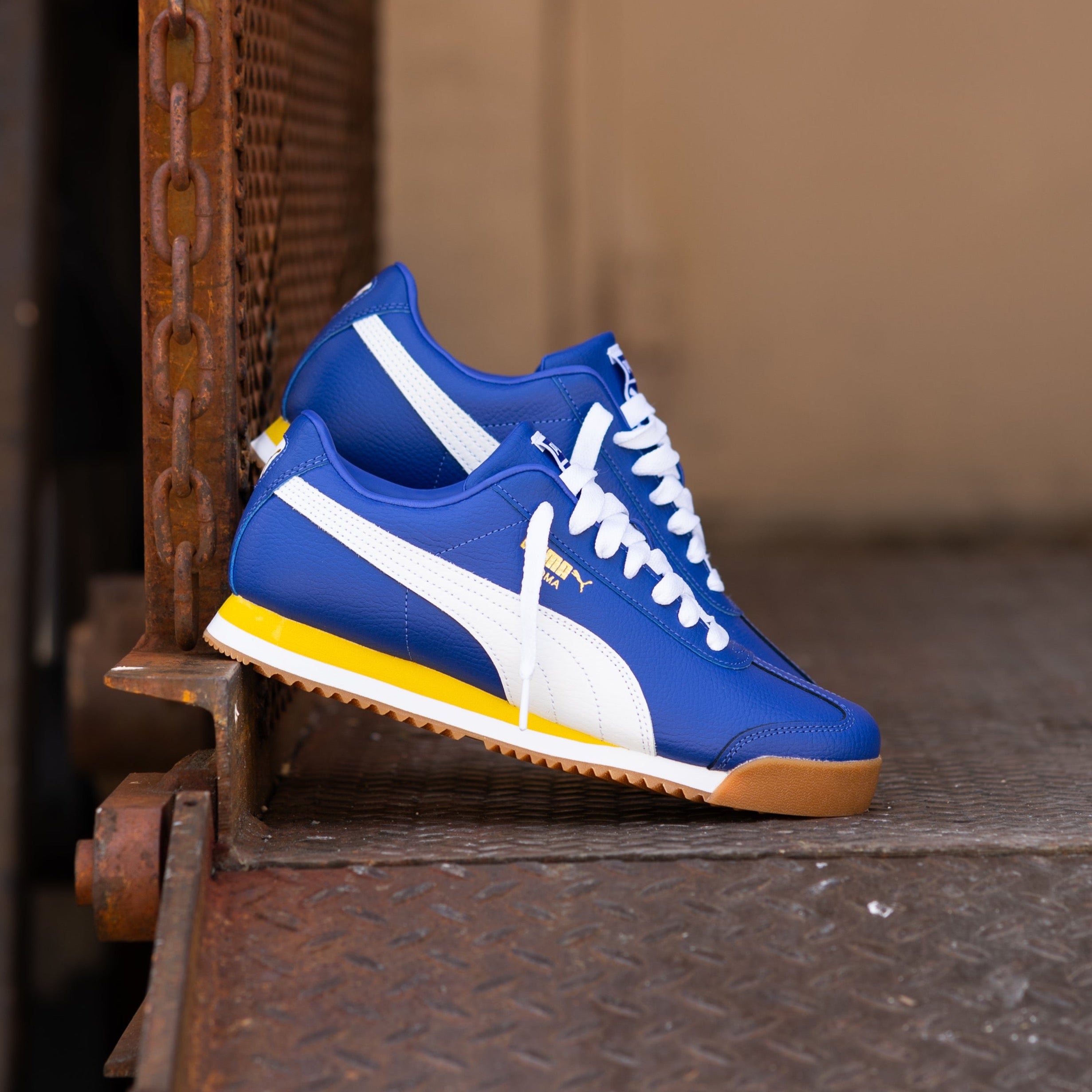 Mens Puma Roma 24 Standard (Lapis Lazuli/Fresh Pear)