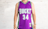 MITCHELL & NESS SWINGMAN JERSEY MILWAUKEE BUCKS 2001-2002 RAY ALLEN - Mitchell & Ness